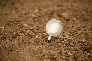 suurennoslasi-hiekassa-pixabay.jpg